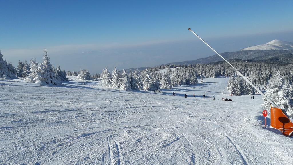 Apartment Dream Konaci Kopaonik Exteriör bild